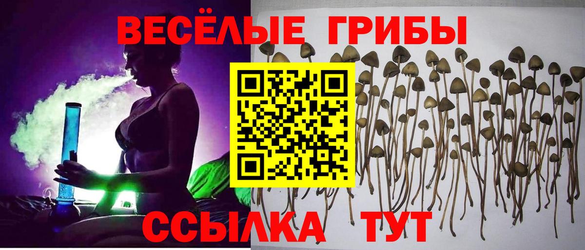 Ковров  Псилоцибиновые грибы ЛСД  Вход с VPN 